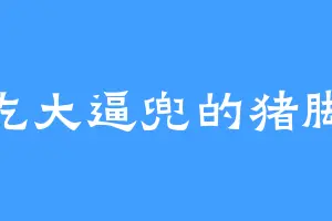 爱吃大逼兜的猪脚饭