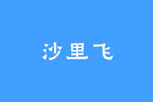 沙里飞
