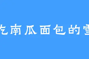 爱吃南瓜面包的雪儿