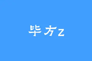 毕方z