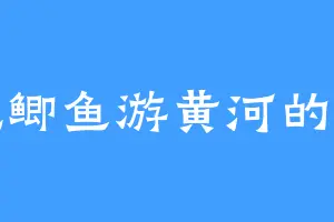 爱吃鲫鱼游黄河的姬那