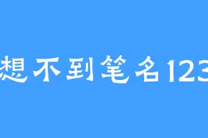 想不到笔名123