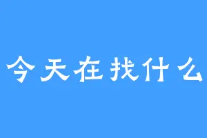今天在找什么