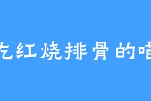 爱吃红烧排骨的喵桑