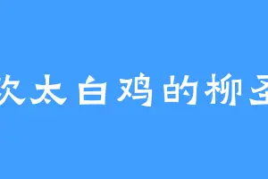 喜欢太白鸡的柳圣主