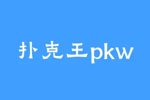 扑克王pkw