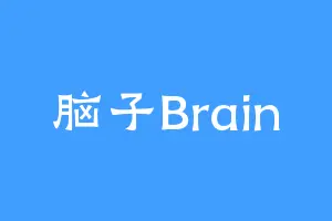 脑子Brain
