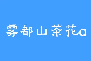雾都山茶花a