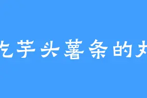 爱吃芋头薯条的丸子