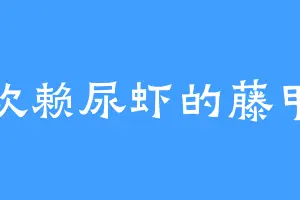 喜欢赖尿虾的藤甲卫