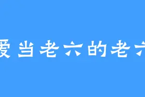 爱当老六的老六