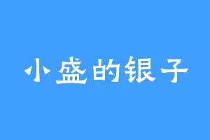 小盛的银子