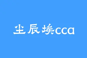 尘辰埃cca