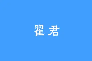 翟君