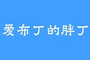 爱布丁的胖丁