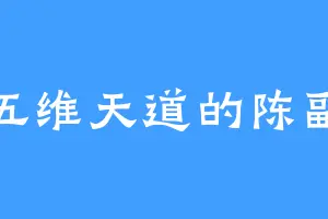 五维天道的陈副