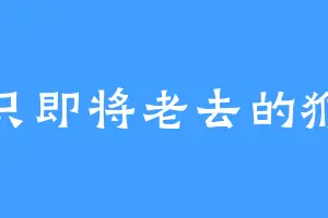 一只即将老去的猴子