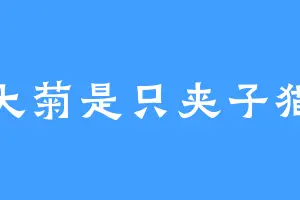 大菊是只夹子猫