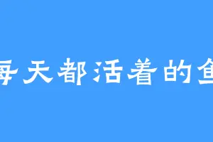每天都活着的鱼