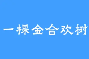 一棵金合欢树
