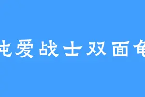 纯爱战士双面龟