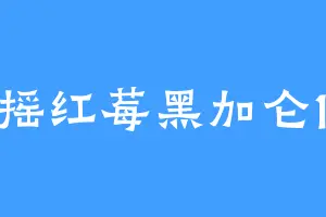 冰摇红莓黑加仑105