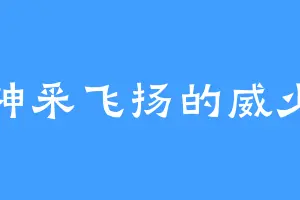 神采飞扬的威少