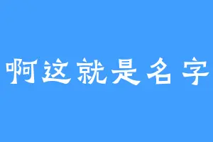 啊这就是名字