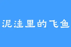 泥洼里的飞鱼