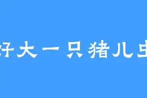 好大一只猪儿虫