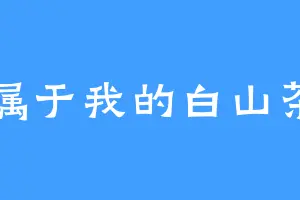 属于我的白山茶