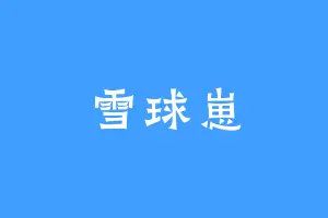雪球崽