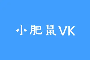 小肥鼠VK