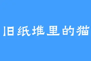 旧纸堆里的猫