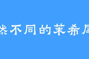 迥然不同的茉希尾濑