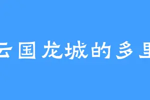 风云国龙城的多里斯