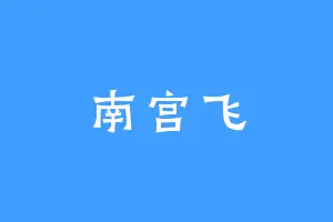 南宫飞