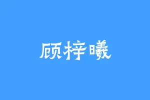顾梓曦