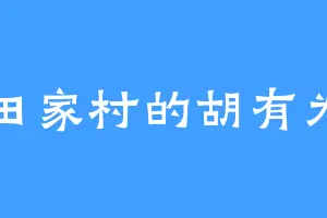 田家村的胡有为