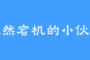 突然宕机的小伙子