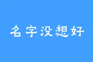 名字没想好