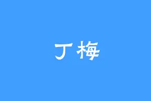 丁梅