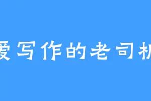 爱写作的老司机