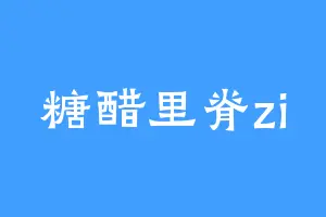 糖醋里脊zi