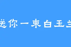 送你一束白玉兰