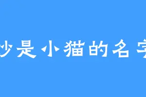 妙妙是小猫的名字吗