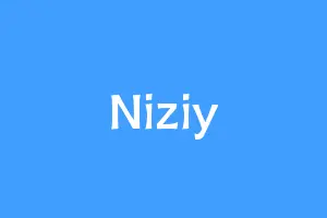 Niziy
