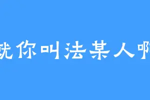 就你叫法某人啊