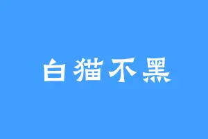 白猫不黑