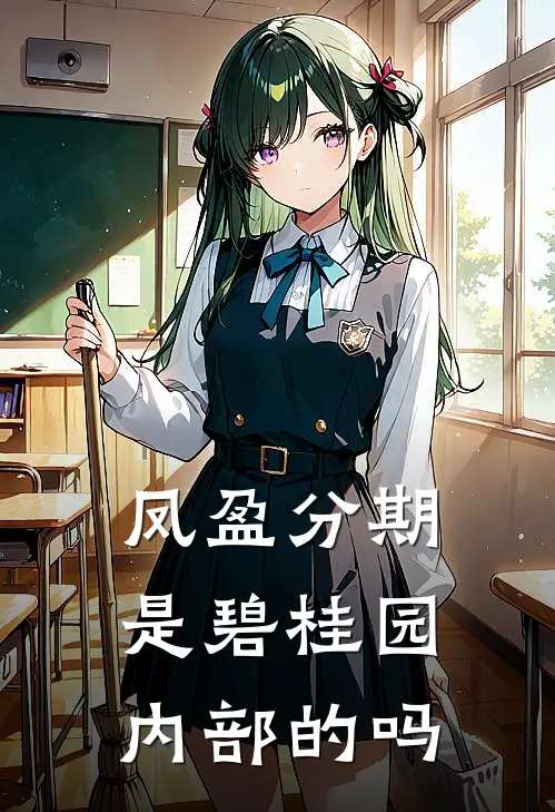 凤盈分期是碧桂园内部的吗